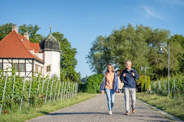 Hoflößnitz in Radebeul