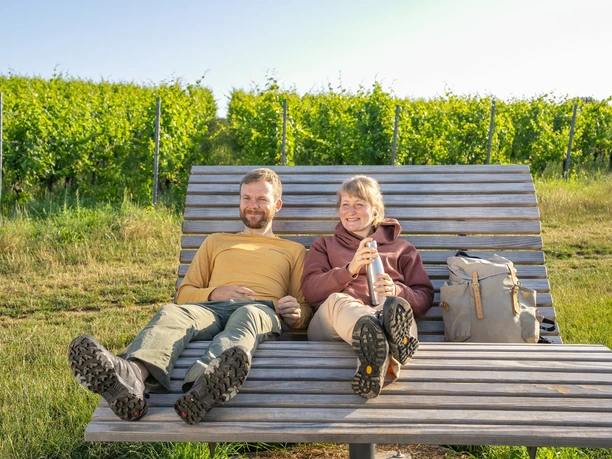 Wellenliege an der "Schönsten Weinsicht 2020" Diesbar-Seußlitz