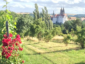 Blick von den Proschwitzer Weinbergen