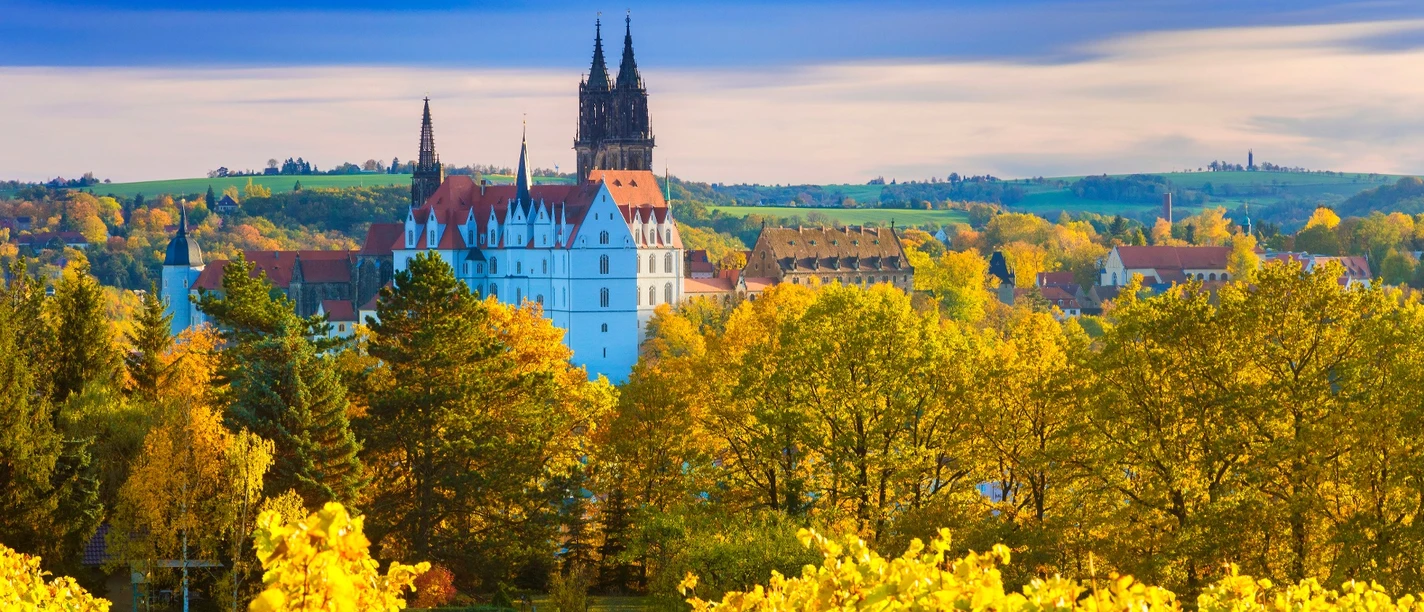 Blick vom Gut Proschwitz auf Meissen