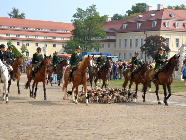 Wermsdorfer Schleppjagd