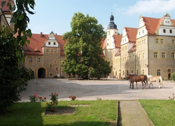 Tourist-Information Wermsdorf