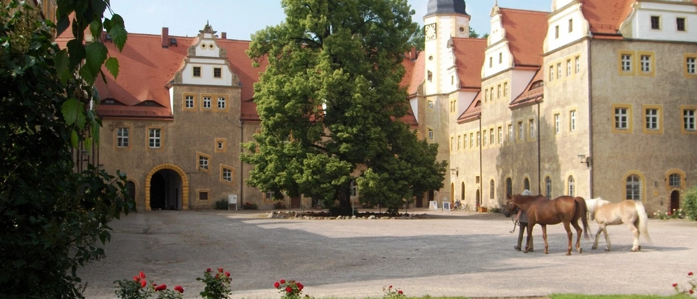 Tourist-Information Wermsdorf