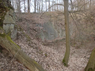Nordwestseite des Grauwacke-Steinbruchs
