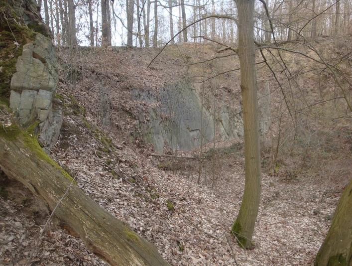 Nordwestseite des Grauwacke-Steinbruchs