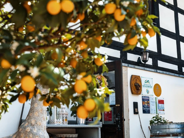 Eingang Restaurant & Pension