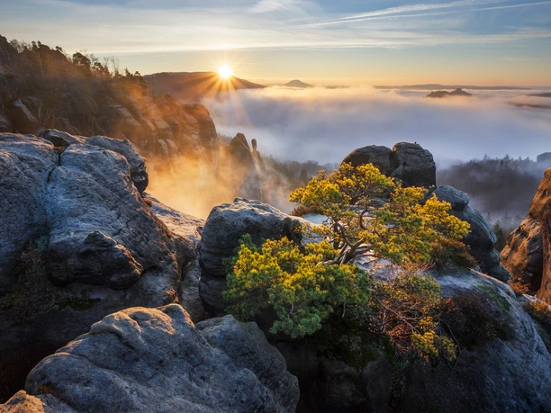 Schrammsteine am Morgen