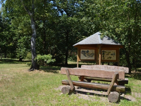 Rastplatz am Schildbergturm