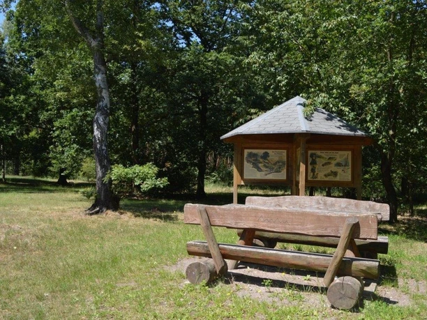 Rastplatz am Schildbergturm