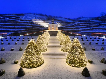 Schloss Wackerbarth im Winter