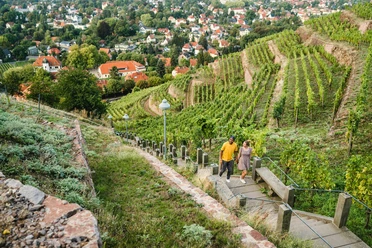 Spitzhaustreppe Radebeul