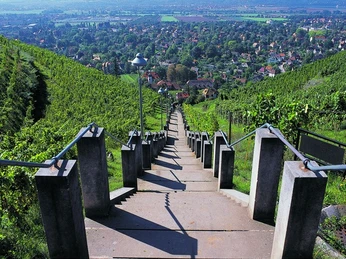 Spitzhaustreppe in Radebeul