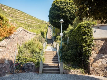 Spitzhaustreppe Radebeul