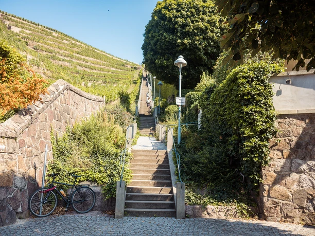 Spitzhaustreppe Radebeul