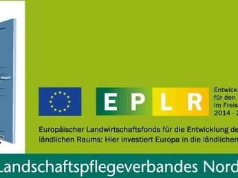 Projektdurchführung und -förderung