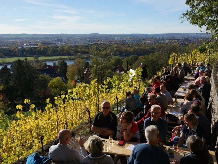 Ausblick KulturTerrasse Scholz