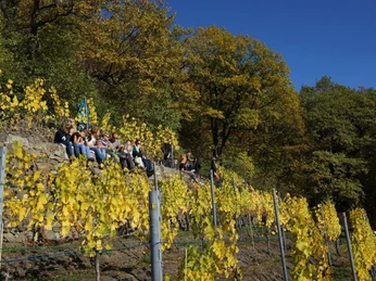 Die schönsten Plätze