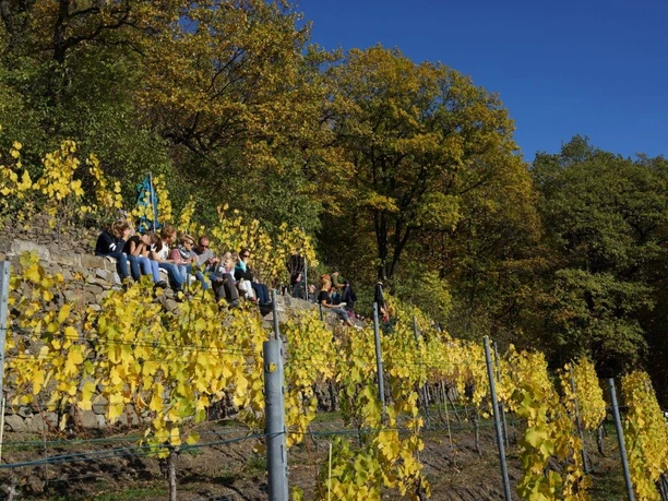 Die schönsten Plätze