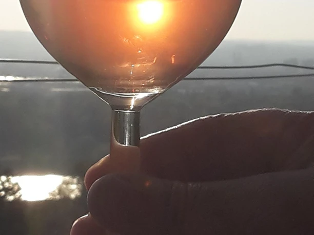 Wein im Sonnenlicht