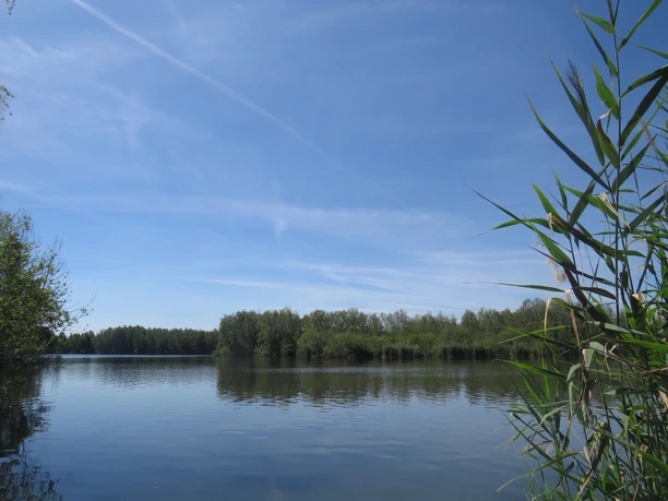 Mittelteich