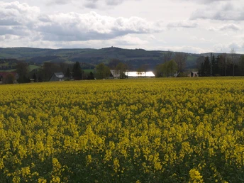 Blick zum Schwartenberg (789m)