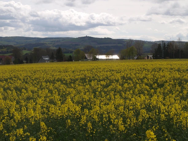Blick zum Schwartenberg (789m)
