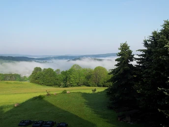Morgennebel von der Kreuztanne aus