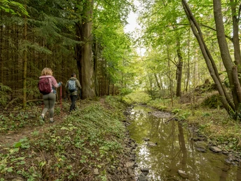 Kammweg Etappe 16 Kenitzbachtal