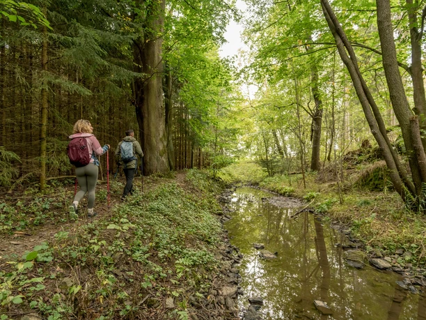Kammweg Etappe 16 Kenitzbachtal
