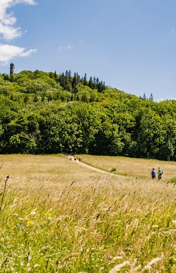 Wandern - Geisingberg