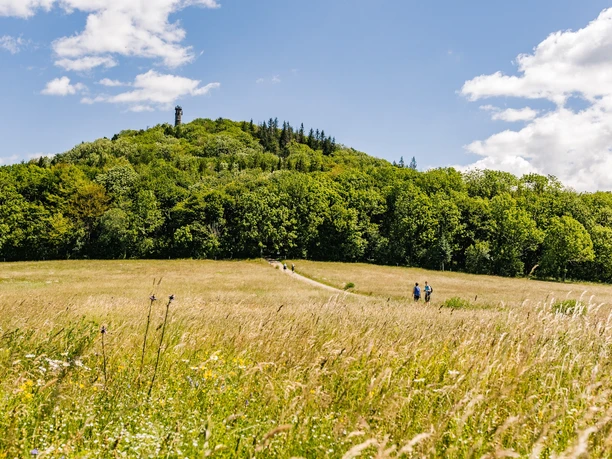 Wandern - Geisingberg