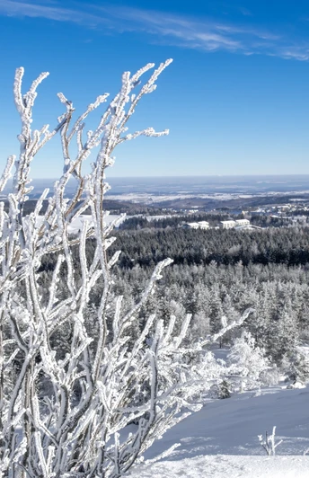 Blick vom Kahleberg im Winter