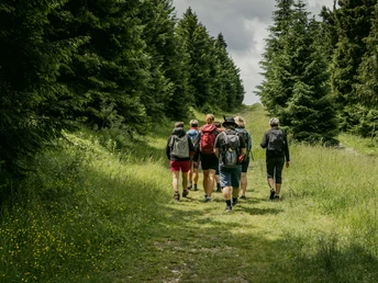 auf dem Kammweg beim Fichtelberg