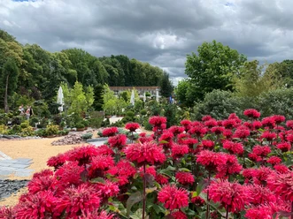Mammutgarten