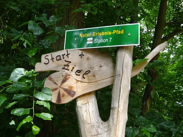 Natur-Erlebnis-Pfad am Butterberg