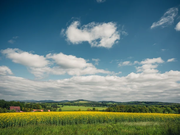 Rastplatz Schönbrunner Blick
