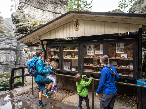 Funde auf der Felsenburg Rathen