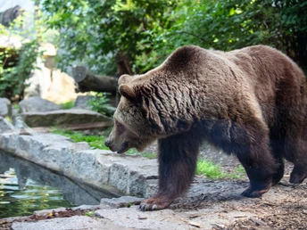 Tier- und Kulturpark
