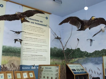 Dauerausstellung im Vogelschutzpavillon