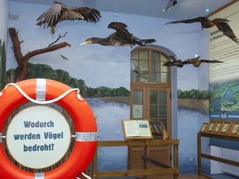 Dauerausstellung im Vogelschutzpavillon