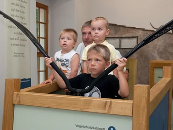 Fliegen und sehen, was Seeadler sieht