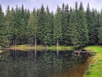 Teichbiotop Preißhausstraße