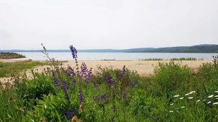 Nord-Ost-Strand am Berzdorfer See, Görlitz