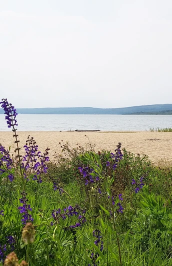 Nord-Ost-Strand am Berzdorfer See, Görlitz