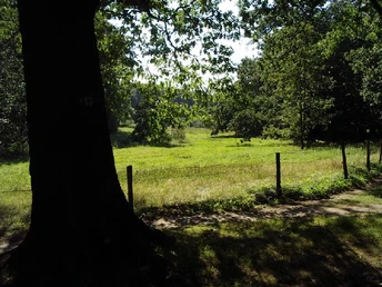 Loenscher Park, Görlitz