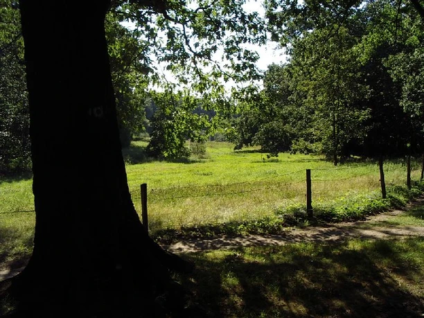 Loenscher Park, Görlitz