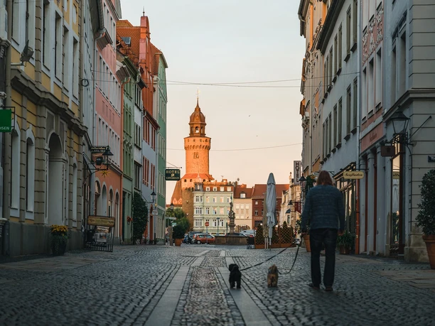 Reichenbacher Turm in Görlitz aus Richtung Brüderstraße