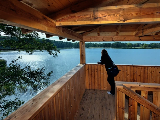 Beobachtungsturm am Großteich