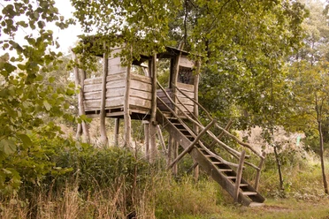 Beobachtungsturm Lukasteich