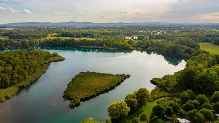 Olbasee